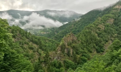 Uzmanı Uyardı: 'Bu Dönemde Ormanlık Alanlardan Uzak Durun'