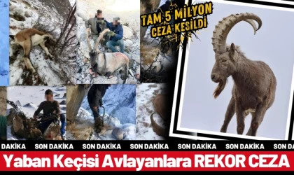 Yaban Keçisi Avlayanlara 5 Milyon Ceza Kesildi