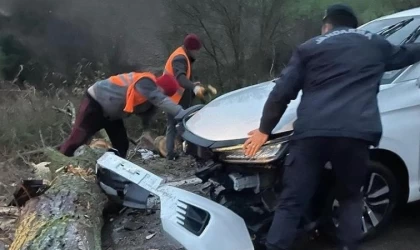 Biga’da otomobil fırtına nedeniyle yola devrilen ağaca çarptı