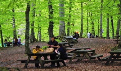 Bolu’nun doğa harikasında insan faaliyetleri doğal dengeyi bozuyor