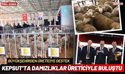Büyükşehir, Kepsut’ta damızlıkları üreticiyle buluşturdu