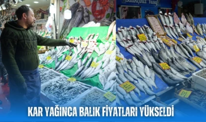 Kar yağışı balık fiyatlarına yükseliş olarak yansıdı