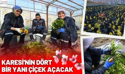 Karesi'nin Dört Bir yanı Çiçek Açacak