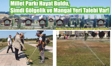 Millet Parkı Hayat Buldu, Şimdi Gölgelik ve Mangal Yeri Talebi Var!