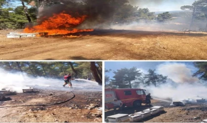 ORMANDA ARI KOVANI BULUNDURANLARA SU ZORUNLULUĞU GETİRİLMELİ!