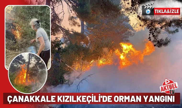 Çanakkale'de orman yangını: Bir köy boşaltıldı