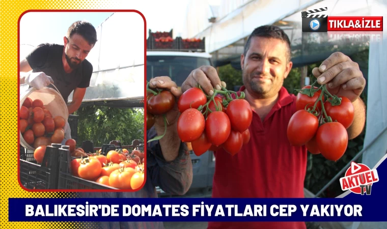 Domates Fiyatları Cep Yakıyor!