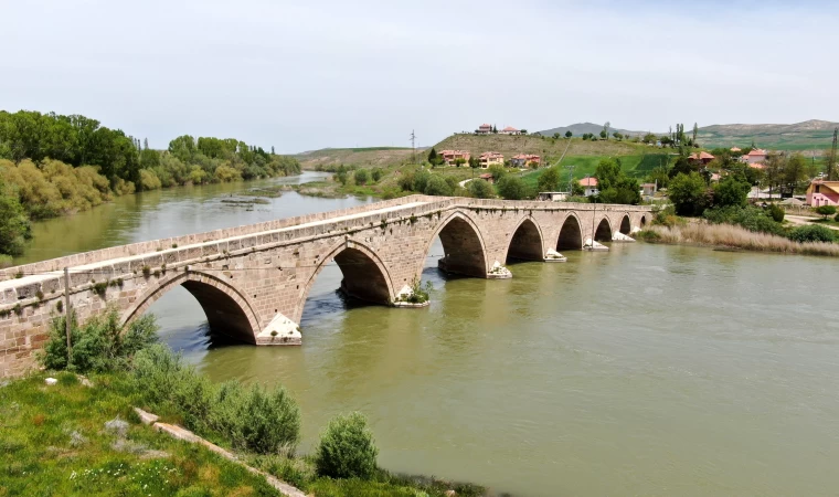 Kuşlara yuva olan tarihi köprü