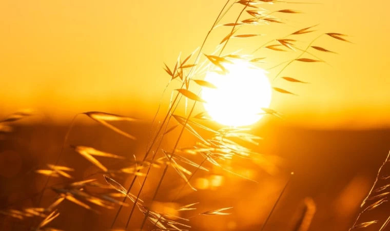 Güneş ışınları cildi yaşlandırıyor