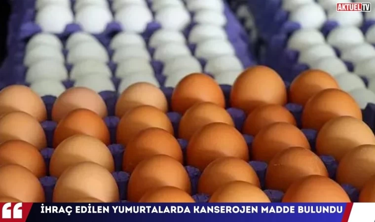 İhraç Edilen Yumurtalarda Kanserojen Madde Bulundu