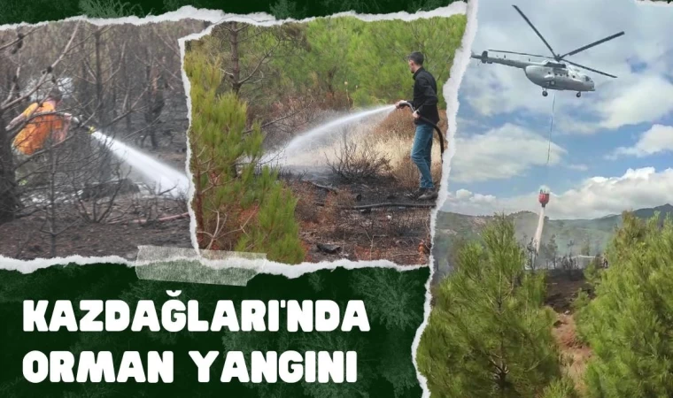Kazdağları’nda Orman Yangını