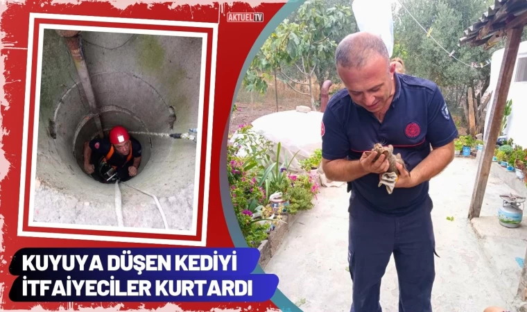 Kuyuya Düşen Kediyi İtfaiyeciler Kurtardı