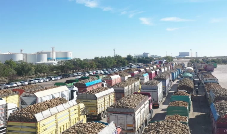 Pancar Alım Kampanyası Başladı