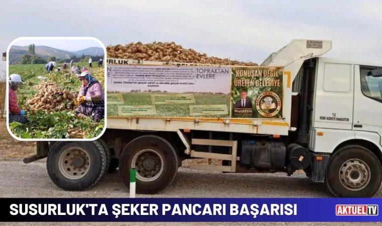 Susurluk'ta Şeker Pancarı Başarısı