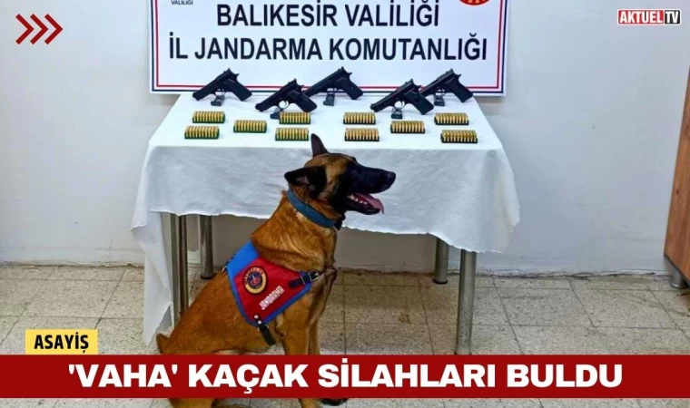'Vaha' Kaçak Silahları Buldu
