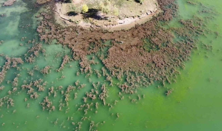 Gölbaşı Gölü’nde Korkutan Görüntü