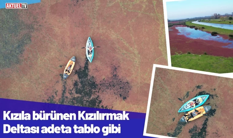 Kızıla bürünen Kızılırmak Deltası adeta tablo gibi