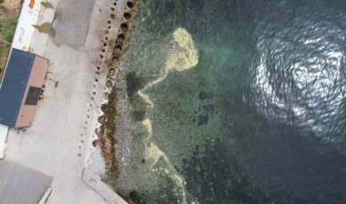 Kadıköy’de müsilajı andıran görüntü