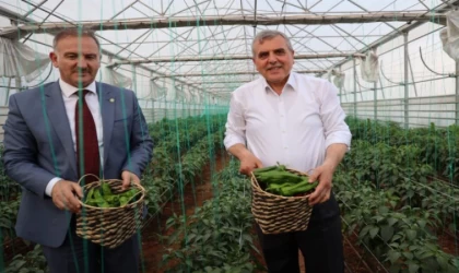 1 milyon isot fidesi toprakla buluştu