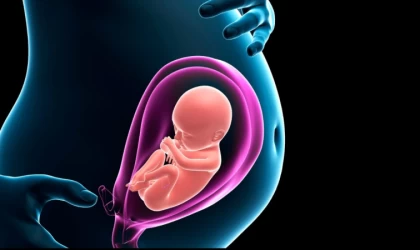 Gebelikte sık sorulan sorular