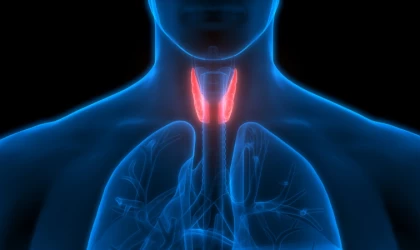 Tiroitiniz olabilir!