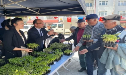 Ücretsiz fideye akın ettiler