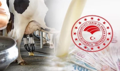 Üreticiye 38,3 milyon TL bugün hesaplarda