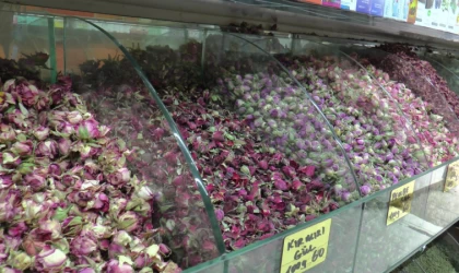 Yaz nezlesine zencefil