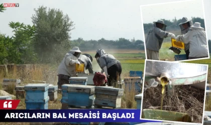 Arıcıların bal mesaisi başladı