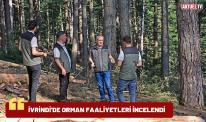 İvrindi’de Orman Faaliyetleri İncelendi