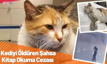 Kediyi Öldüren Şahsa Kitap Okuma Cezası