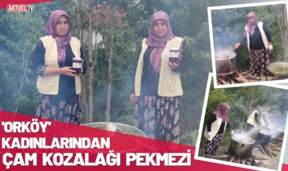 ORKÖY Kadınlarından Çam Kozalağı Pekmezi