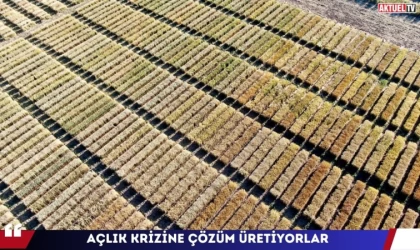 Açlık Krizine Çözüm Üretiyorlar