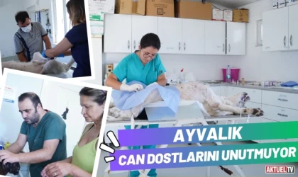 Ayvalık Sokaktaki Can Dostlarını Unutmuyor