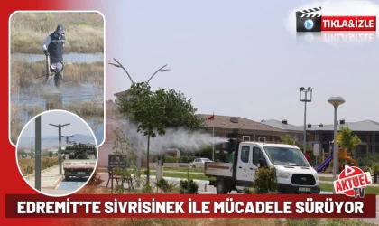 Edremit'te Sivrisinek İlaçlama Çalışmaları Sürüyor