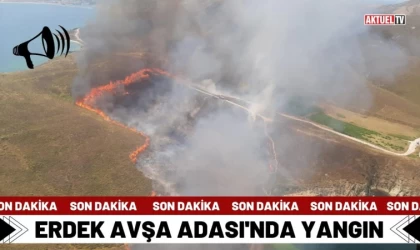 Erdek’te Makilik Alan Yandı