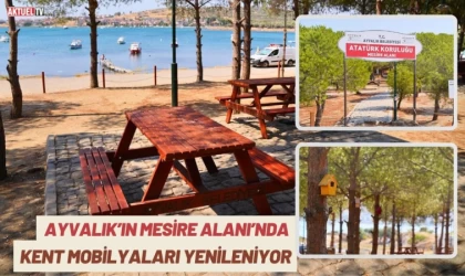 Ayvalık’ın Mesire Alanı’nda Kent Mobilyaları Yenileniyor