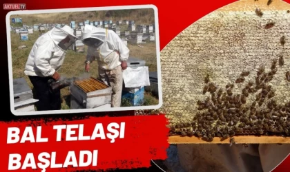 Bal Telaşı Başladı