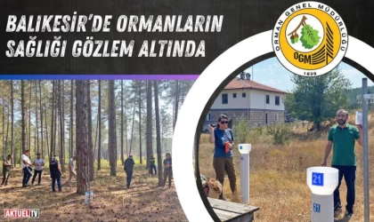 Balıkesir’de Ormanların Sağlığı Gözlem Altında