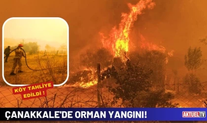 Çanakkale'de Orman Yangını!