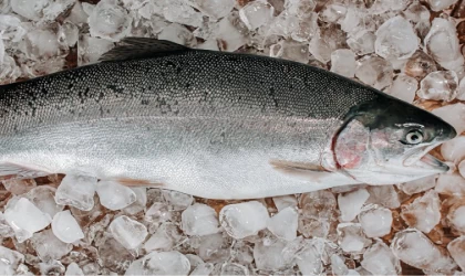 Dondurulmuş Balıklardaki Tehlike