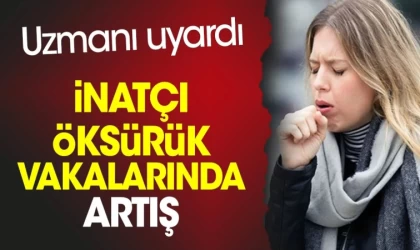İnatçı Öksürük Vakalarında Artış