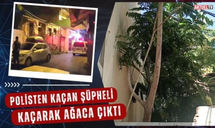 Polisten Kaçan Şüpheli Ağaca Çıktı