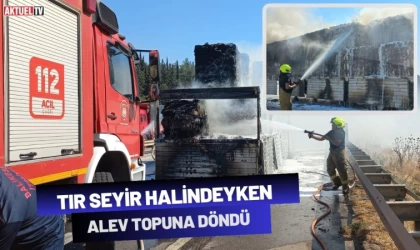 Tır Seyir Halindeyken Alev Topuna Döndü