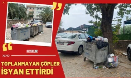 Toplanmayan Çöpler İsyan Ettirdi