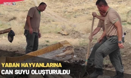 Yaban Hayvanlarına Can Suyu Oluşturuldu