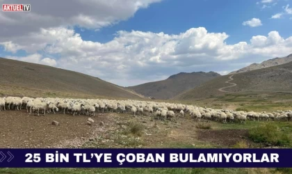 25 Bin TL’ye Çoban Bulamıyorlar