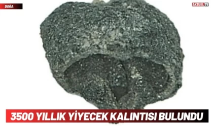 3500 Yıllık Yiyecek Kalıntısı Bulundu