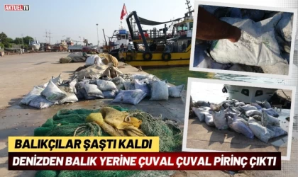 Balıkçılar Şaştı Kaldı: Denizden Balık Yerine Çuval Çuval Pirinç Çıktı