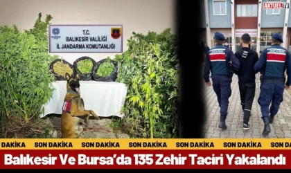 Balıkesir Ve Bursa’da 135 Zehir Taciri Yakalandı